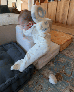Angel Bee Baby Head Protector